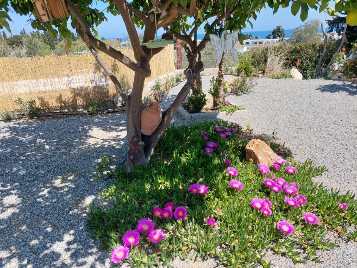 Ktima Natura Archangelos  Exterior photo